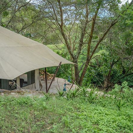 Dolly Farm & River Camp, Luxury Tents Usa River Экстерьер фото