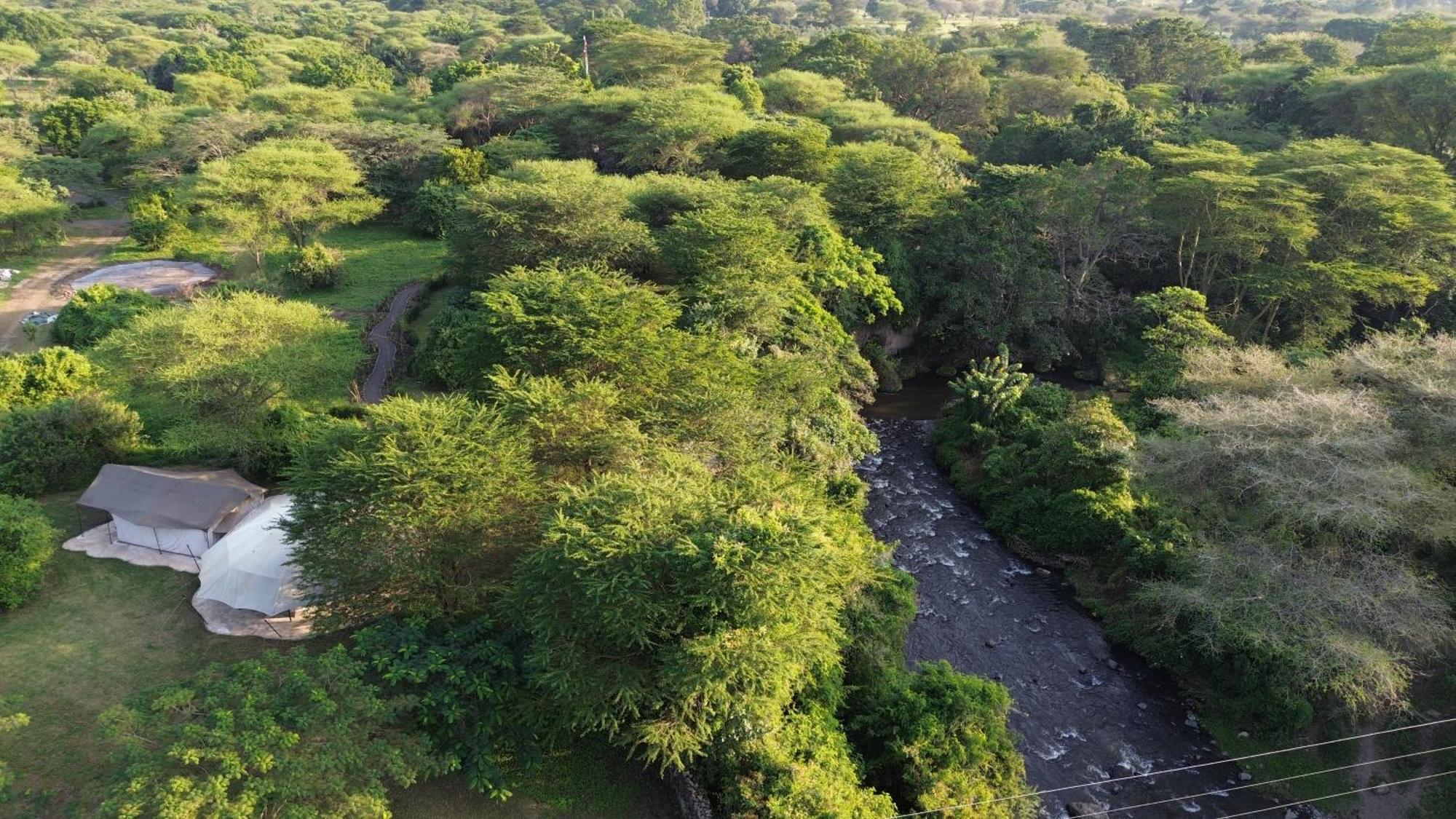 Dolly Farm & River Camp, Luxury Tents Usa River Экстерьер фото