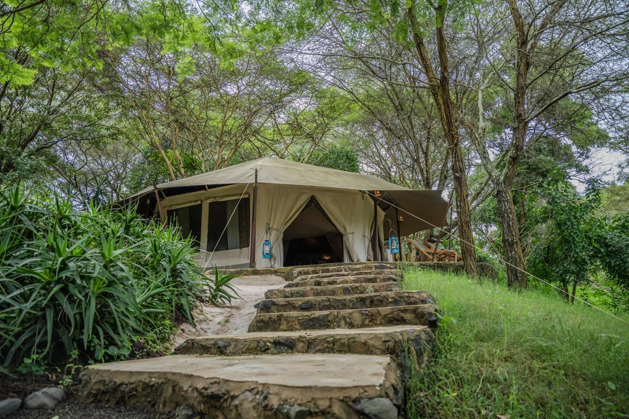 Dolly Farm & River Camp, Luxury Tents Usa River Экстерьер фото