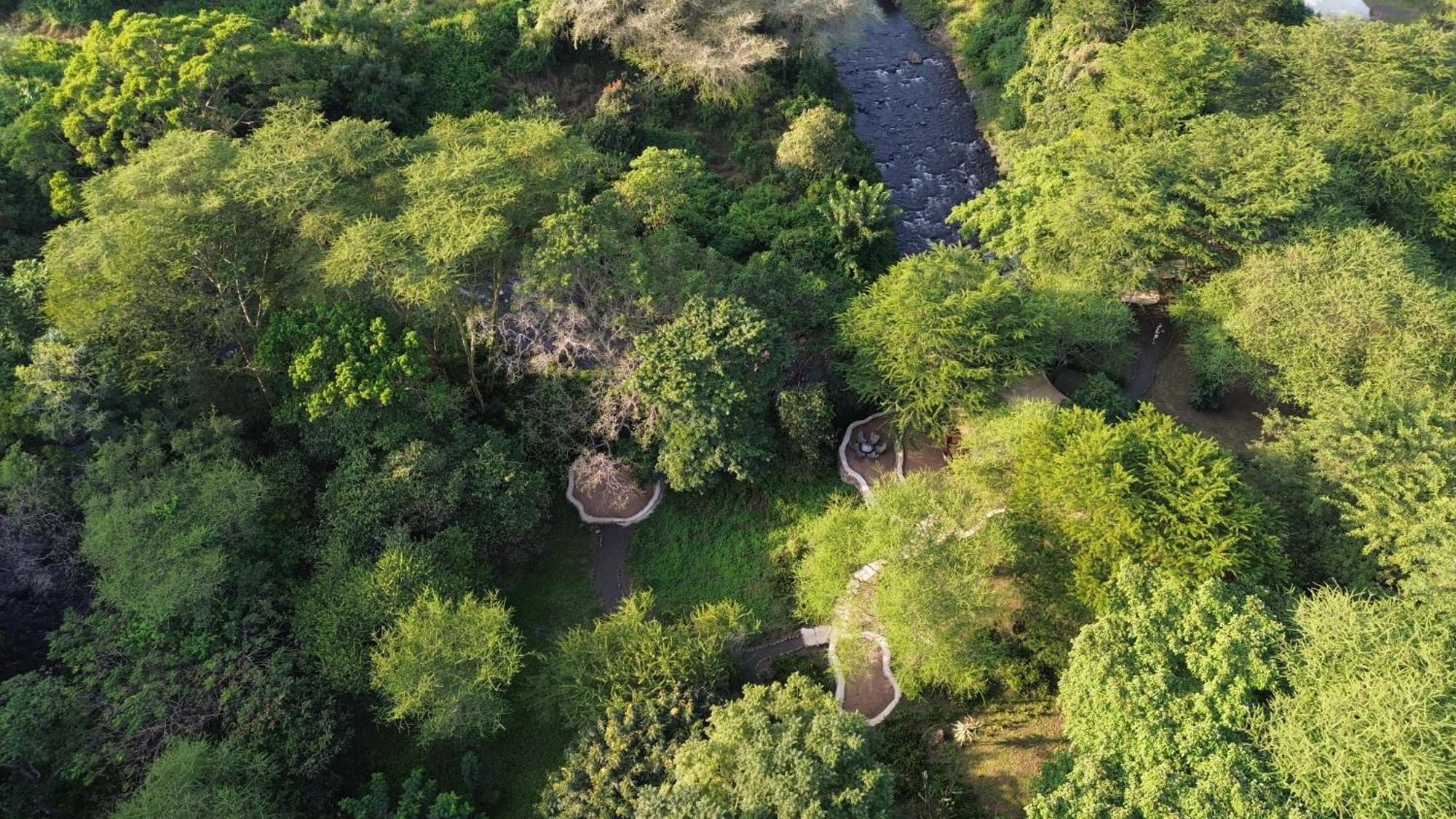 Dolly Farm & River Camp, Luxury Tents Usa River Экстерьер фото